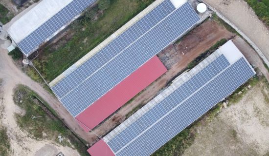 南投雞舍案場模組更新_463kW